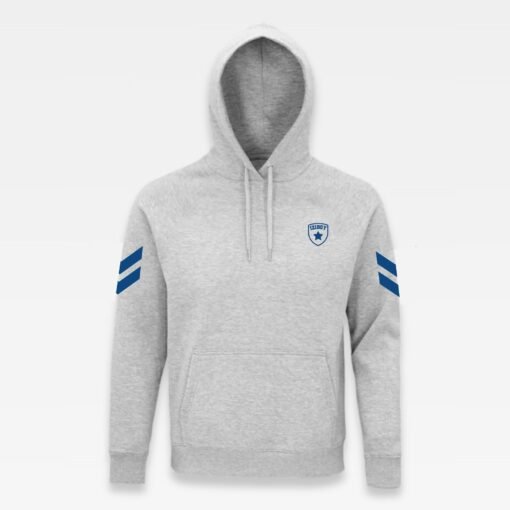 devant du sweat à capuche iziboy gris avec inscription bleu marine dans le dos