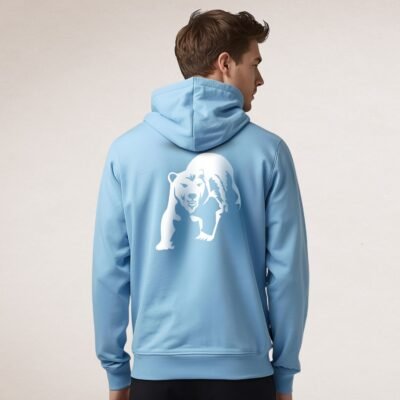 Sweat à capuche Artic Mood