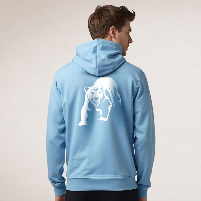 Sweat à capuche Artic Mood